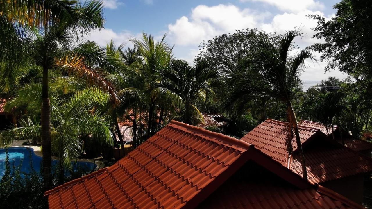 Ritmo Tropical - Pool And Breakfast Playa Santa Teresa (Puntarenas)